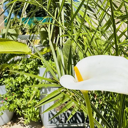 Apartment Ng - A 10 Mn Du Palais Des Festivals Cannes